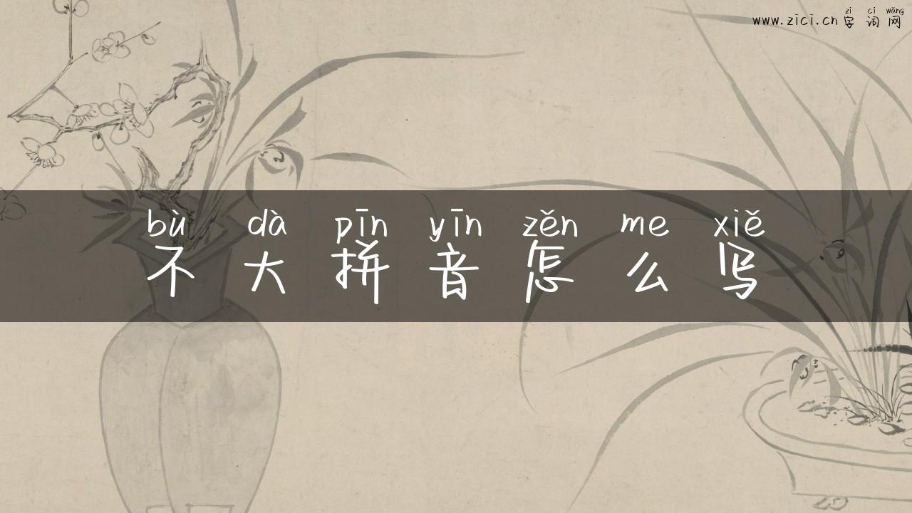 不大拼音怎么写