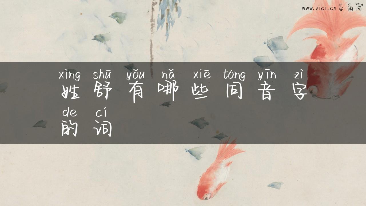 姓舒有哪些同音字的词