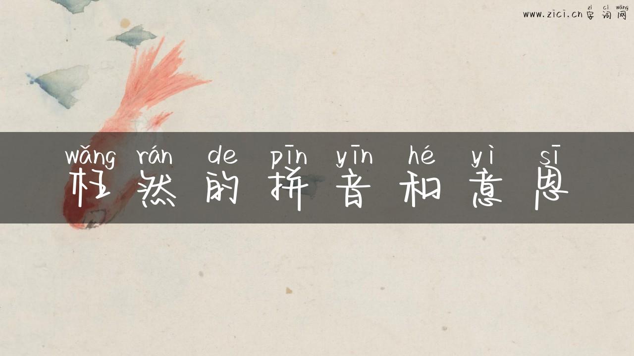 枉然的拼音和意思