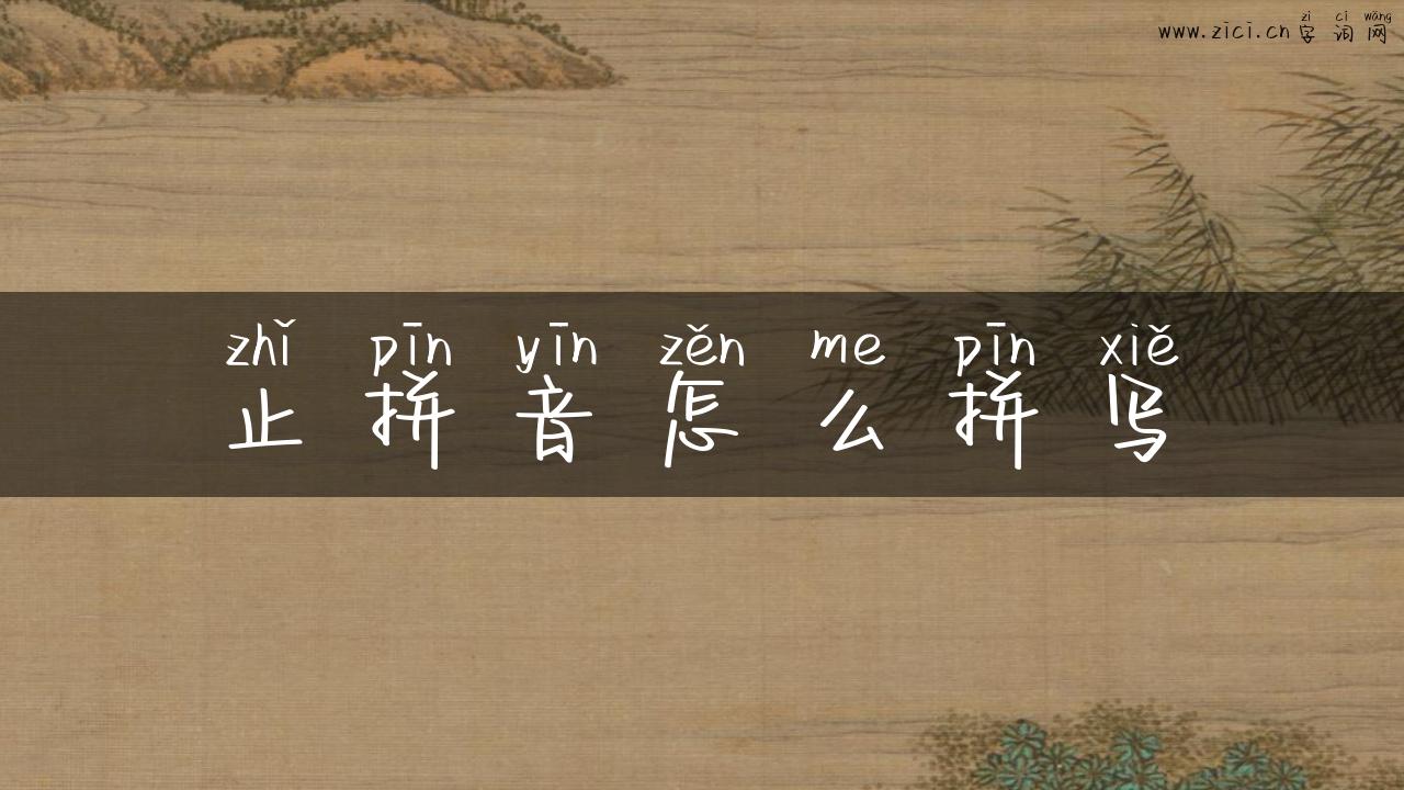 止拼音怎么拼写