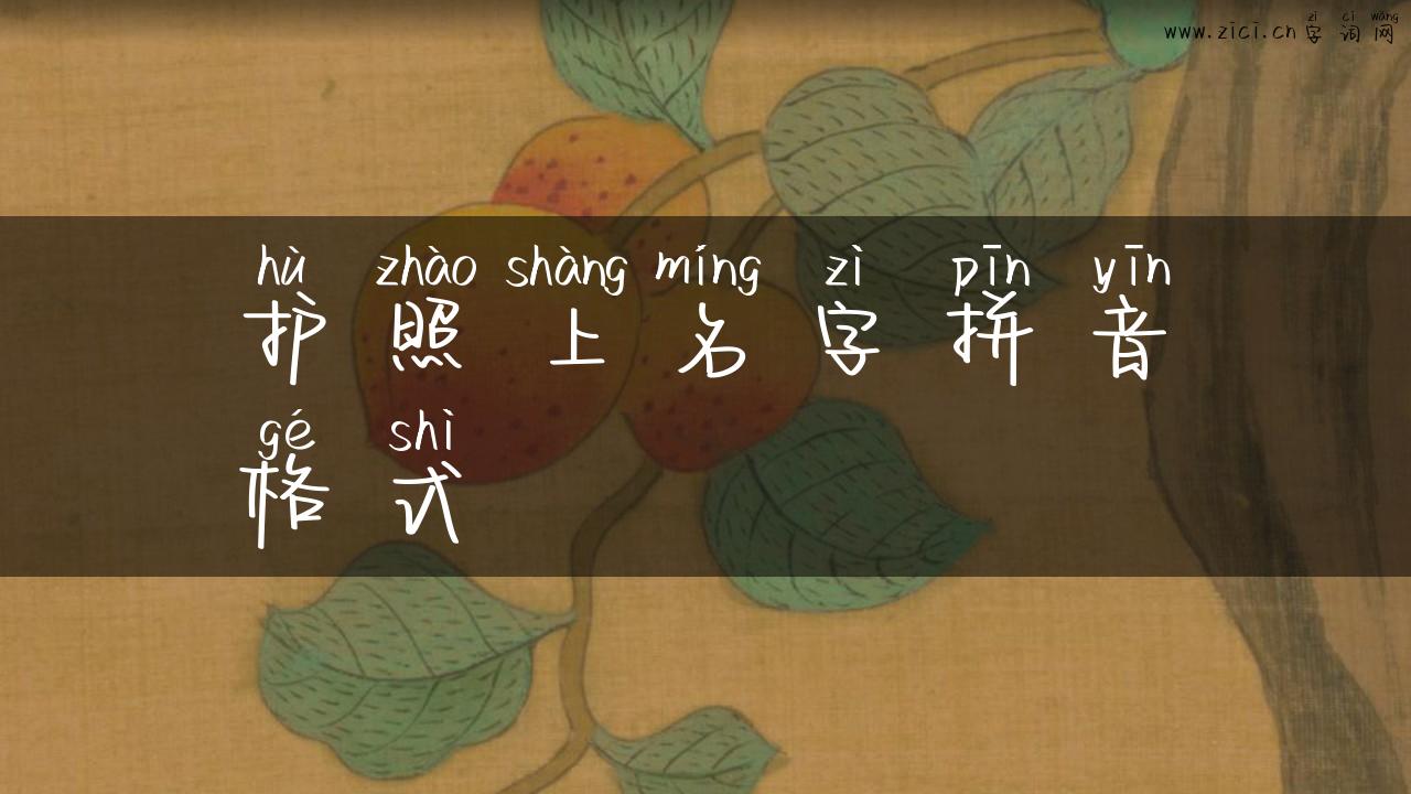 护照上名字拼音格式