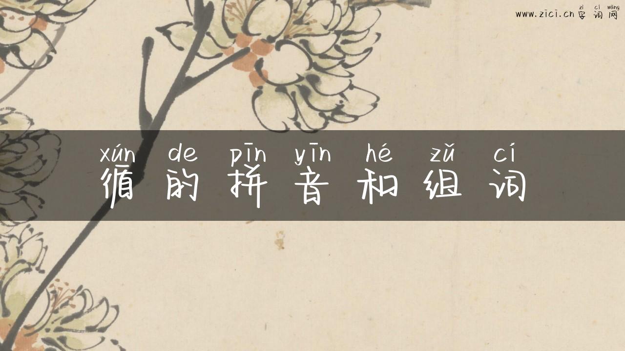 循的拼音和组词