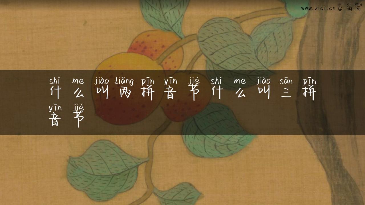 什么叫两拼音节什么叫三拼音节