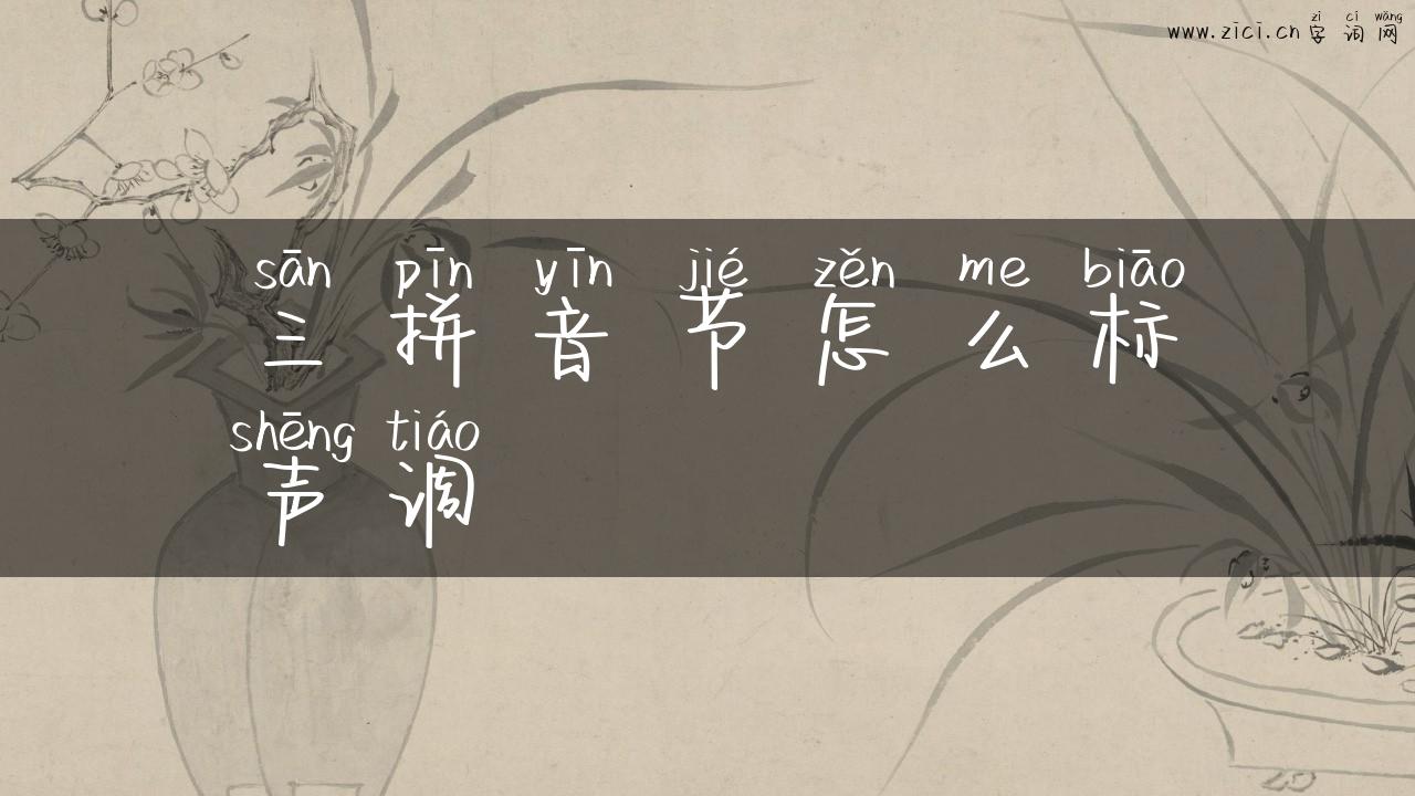 三拼音节怎么标声调