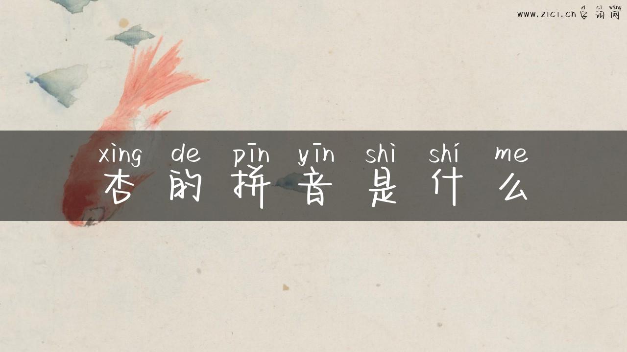 杏的拼音是什么