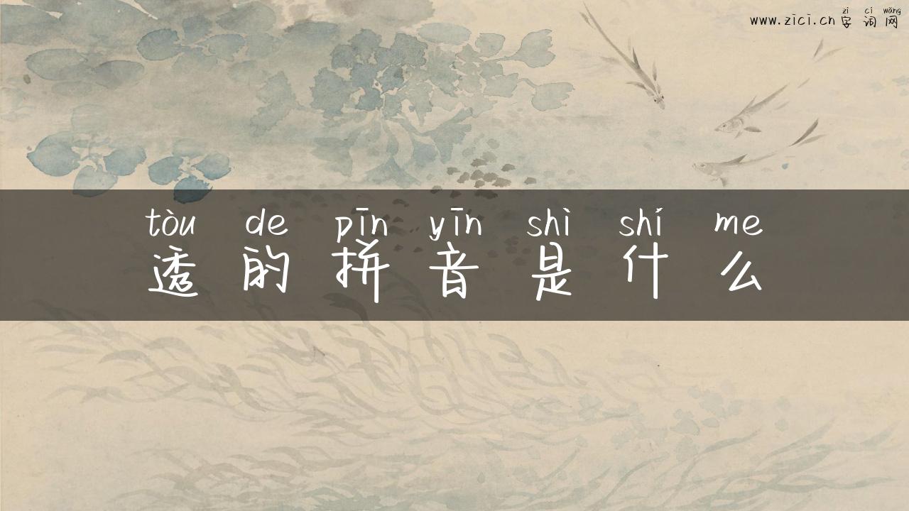 透的拼音是什么
