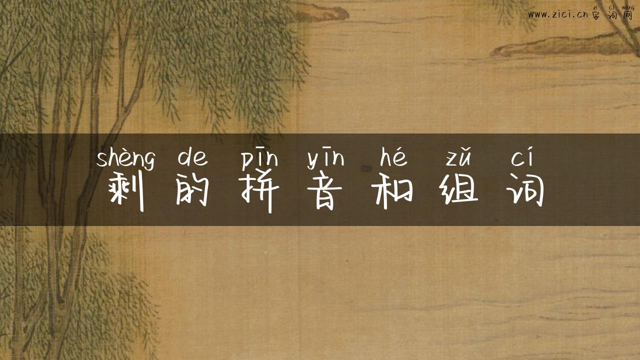 剩的拼音和组词