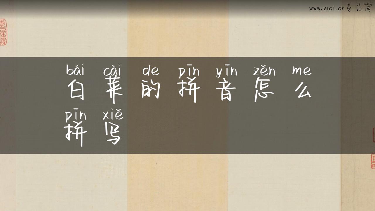 白菜的拼音怎么拼写
