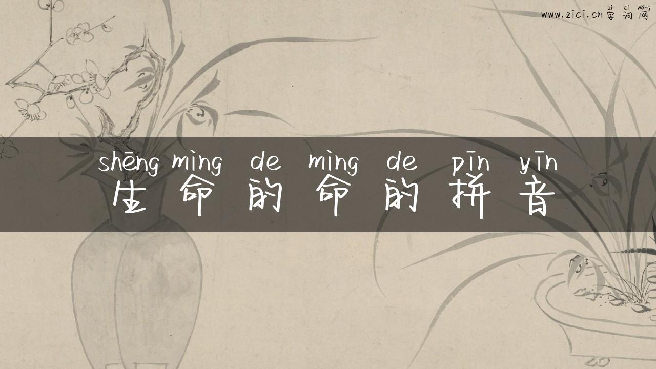 生命的命的拼音