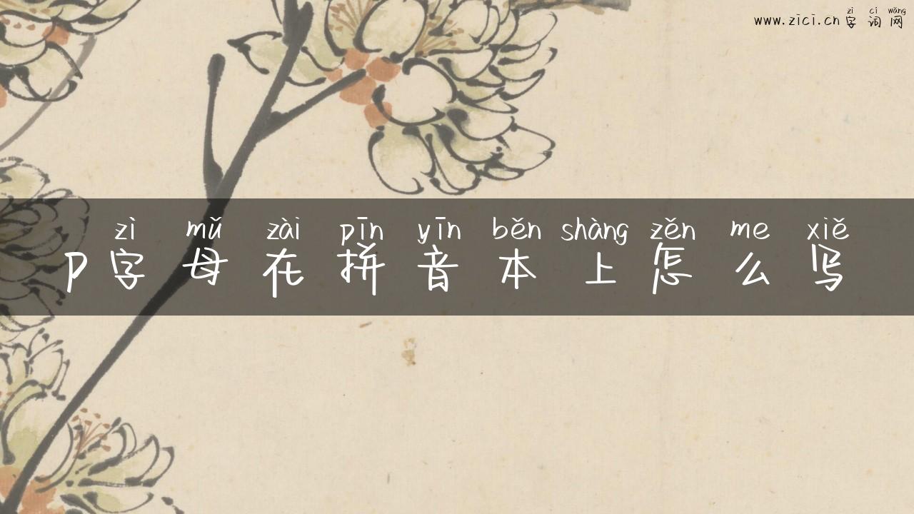 p字母在拼音本上怎么写