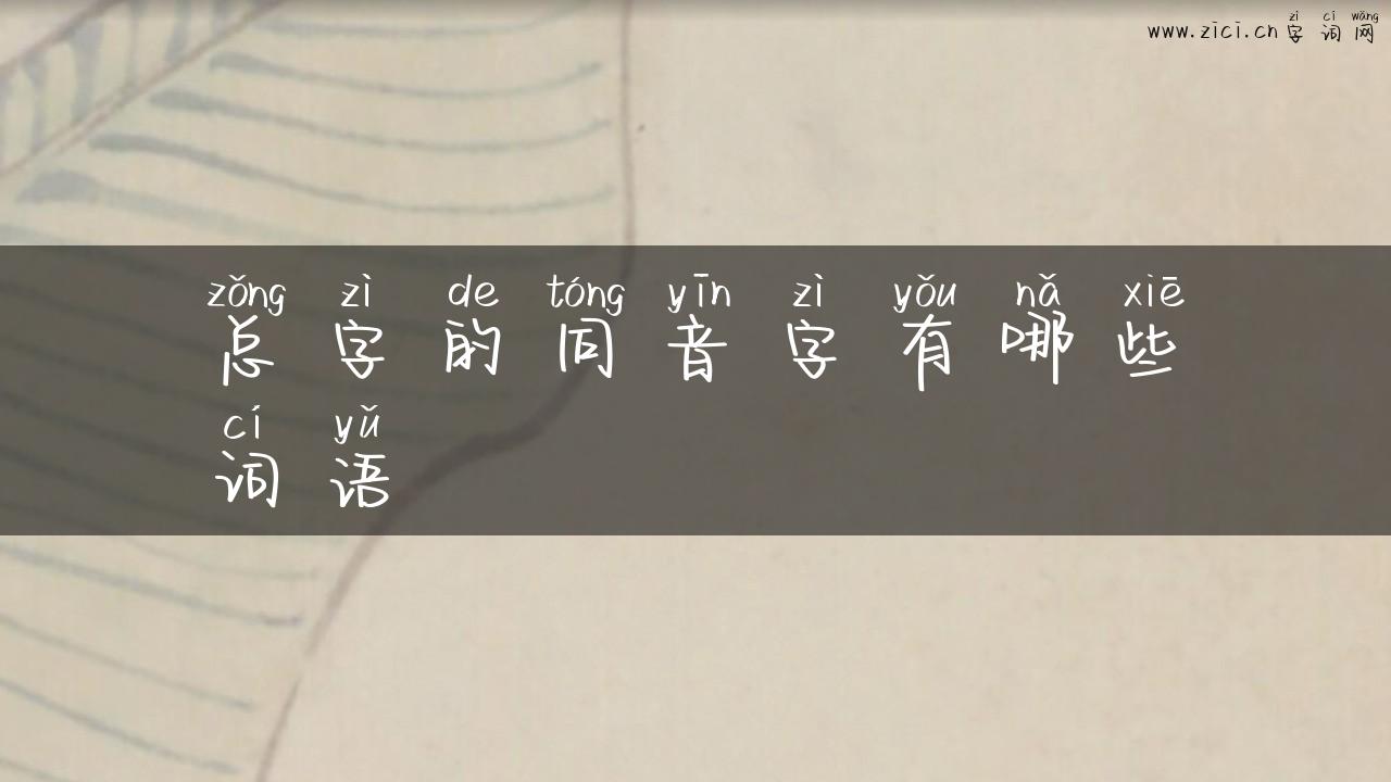 总字的同音字有哪些词语