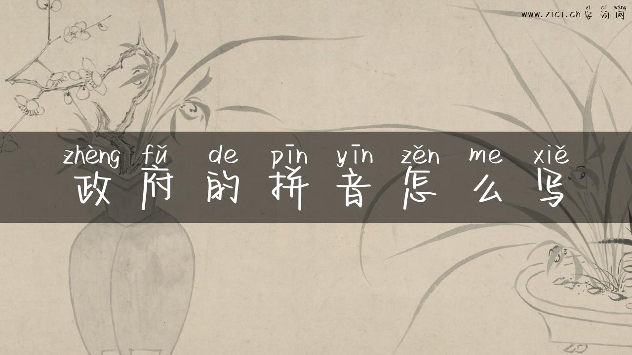 政府的拼音怎么写