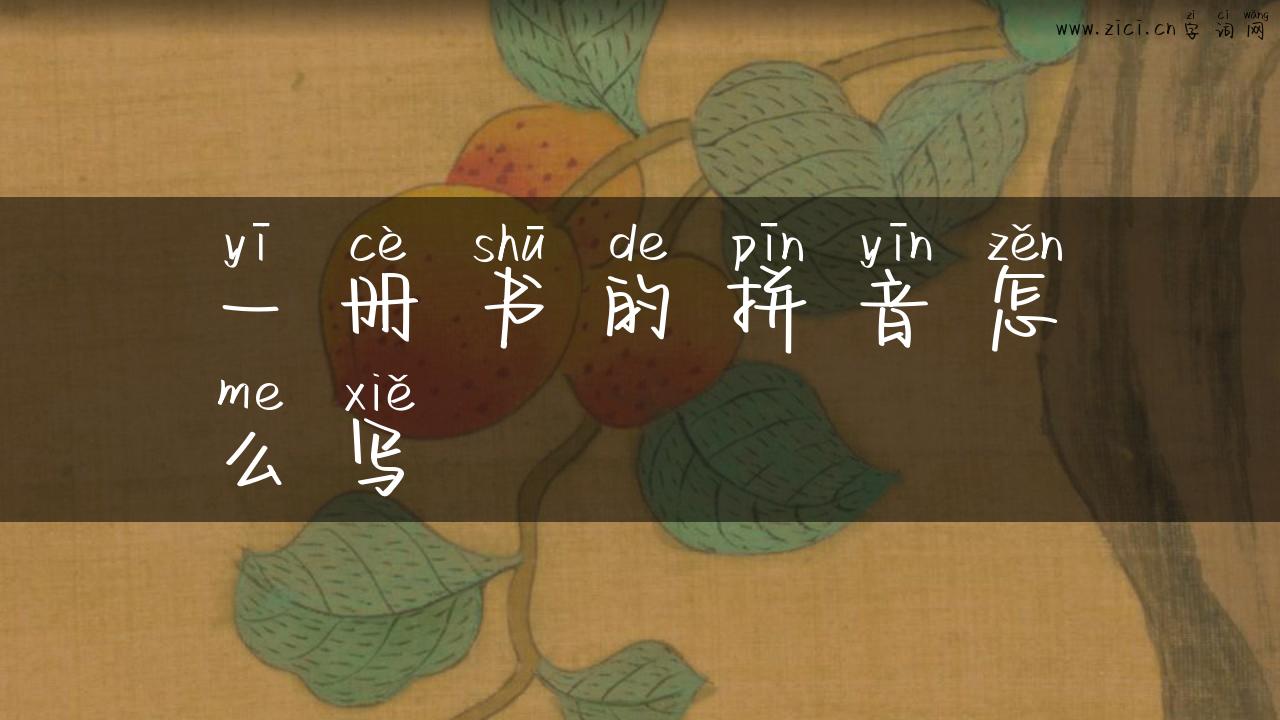 一册书的拼音怎么写