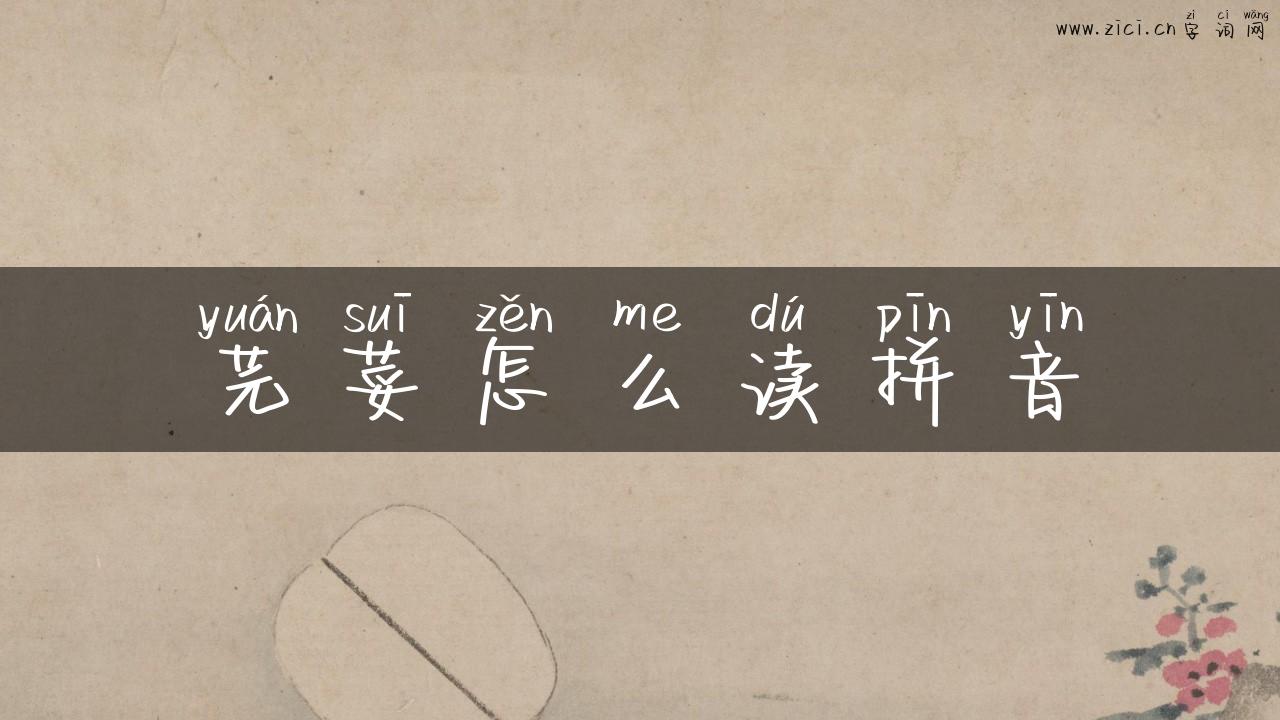 芫荽怎么读拼音