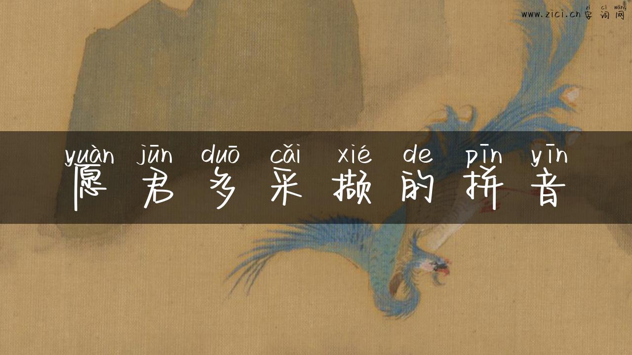 愿君多采撷的拼音