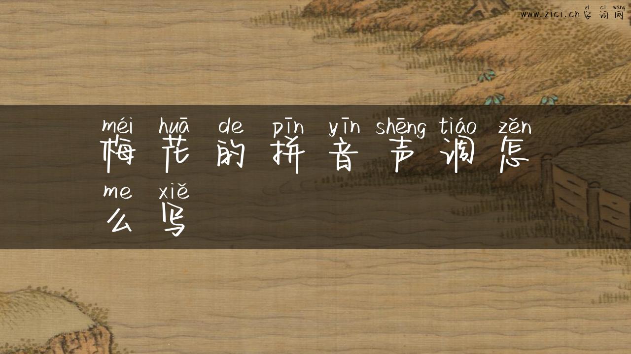 梅花的拼音声调怎么写