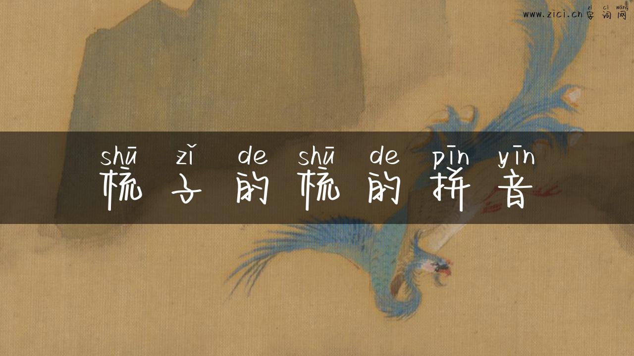 梳子的梳的拼音