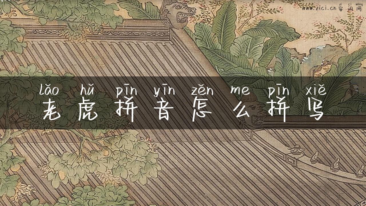 老虎拼音怎么拼写