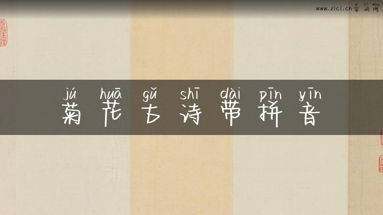 菊花古诗带拼音