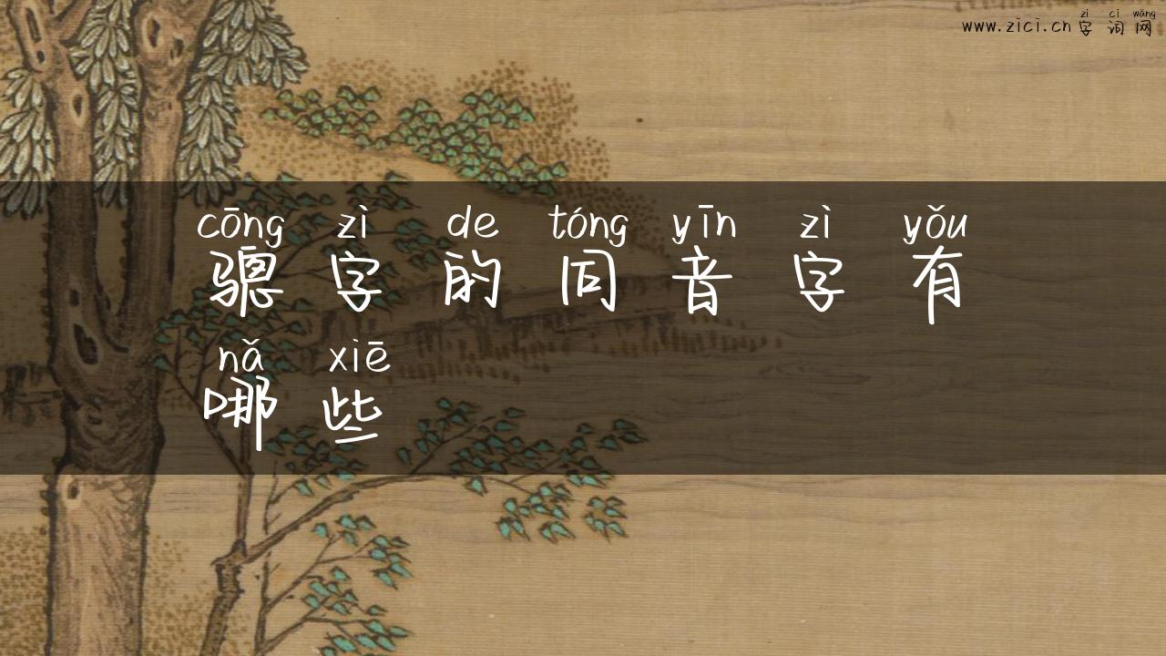 骢字的同音字有哪些