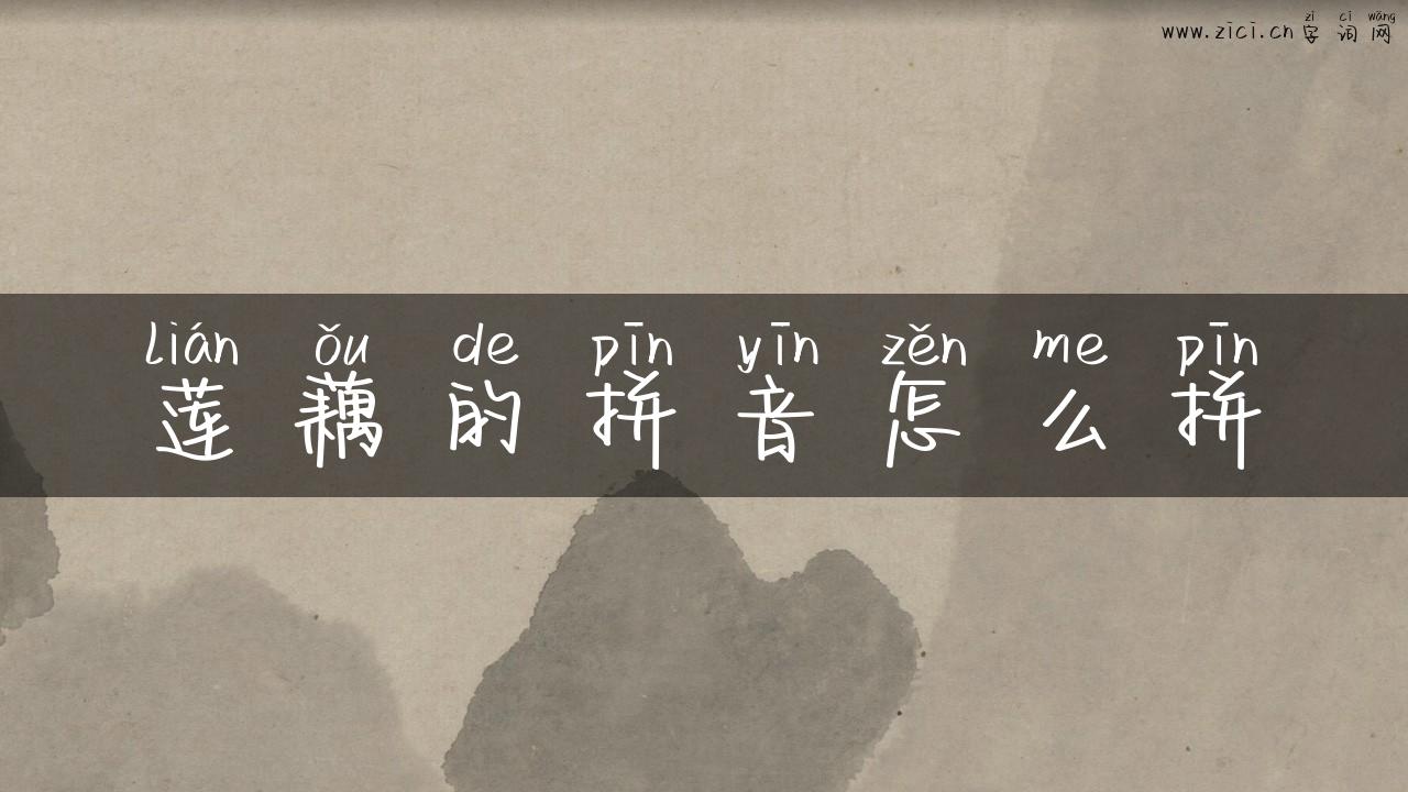 莲藕的拼音怎么拼