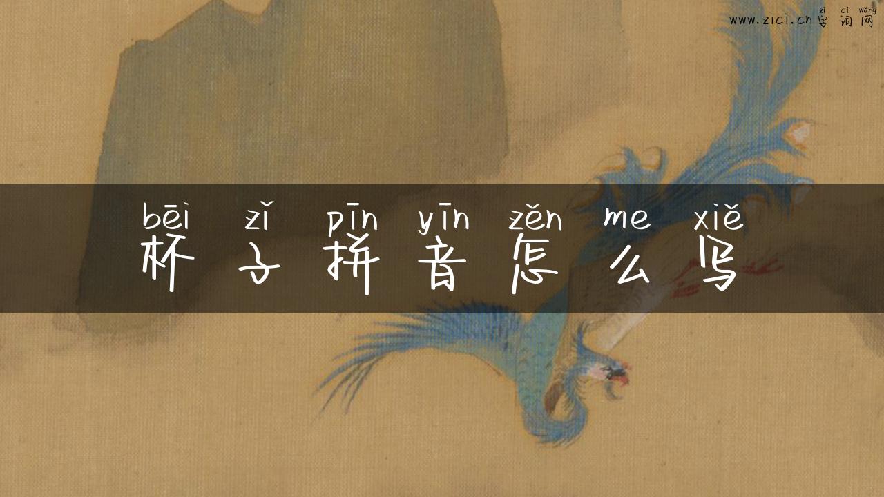 杯子拼音怎么写