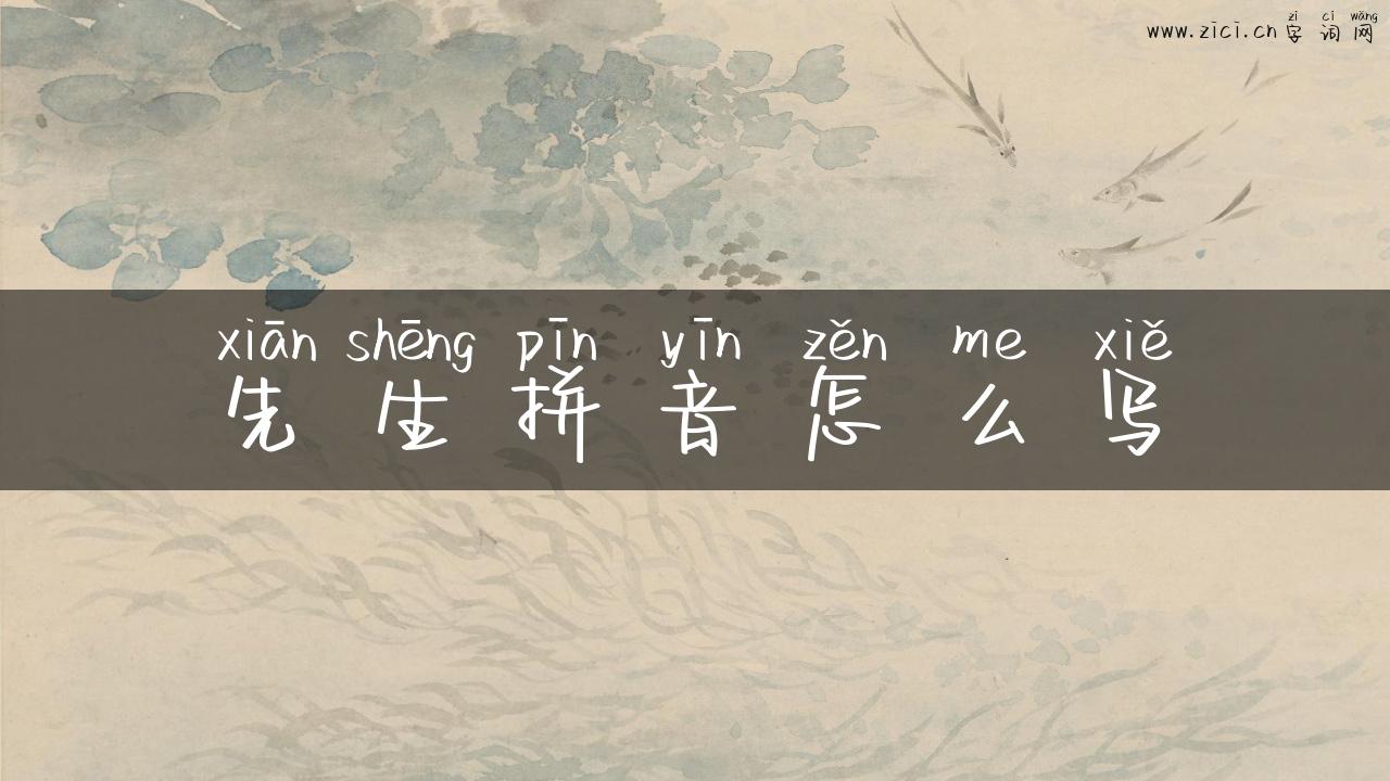 先生拼音怎么写