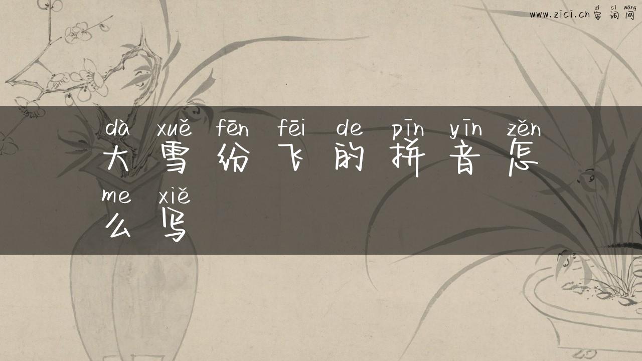 大雪纷飞的拼音怎么写