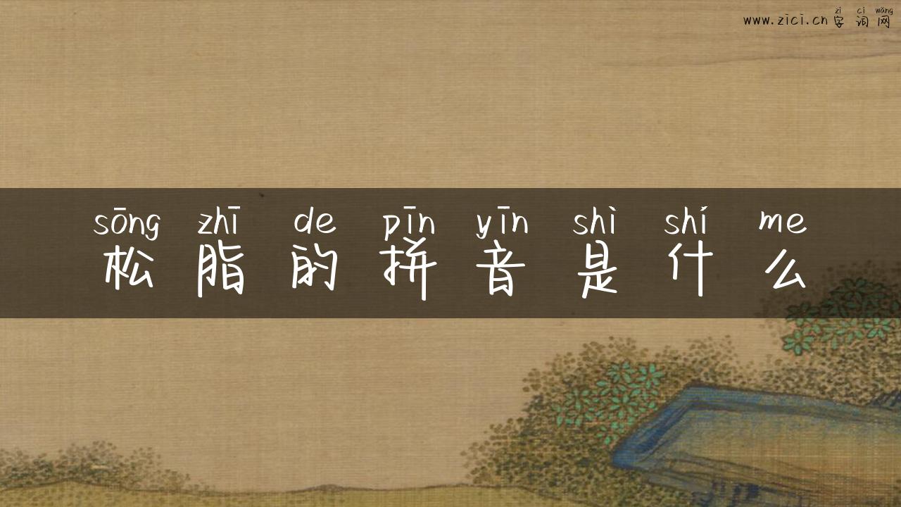 松脂的拼音是什么