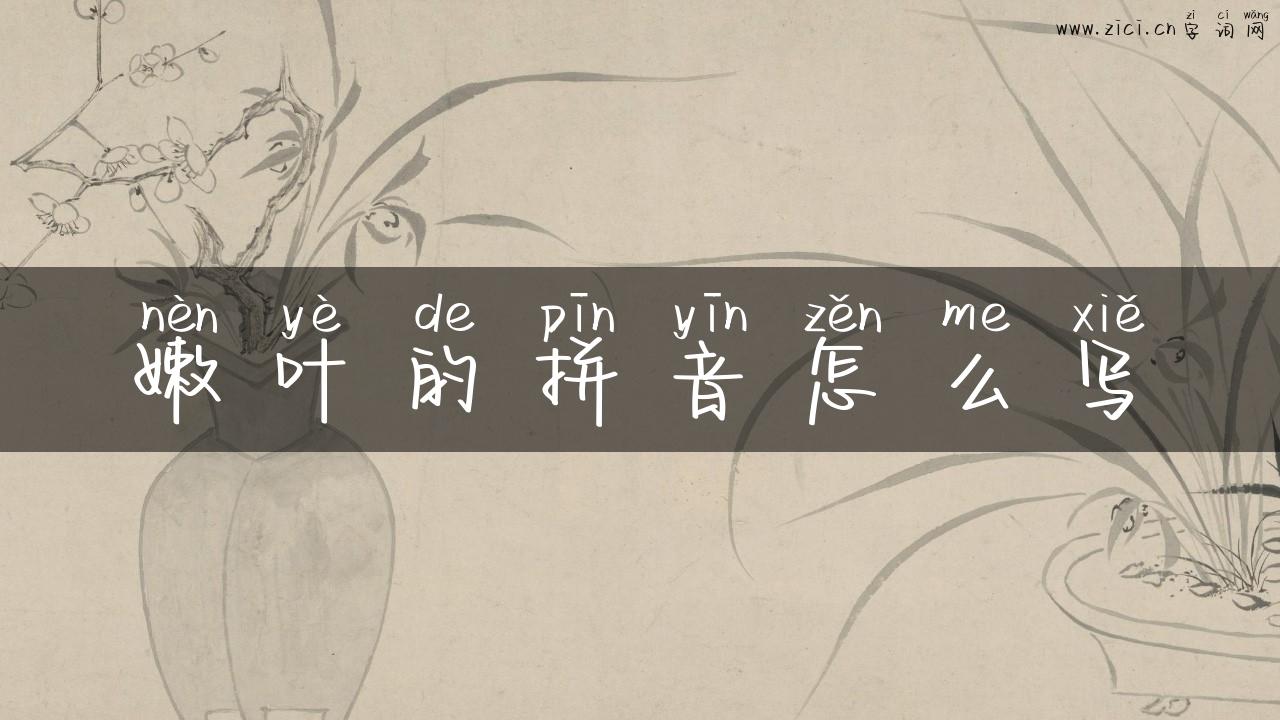 嫩叶的拼音怎么写
