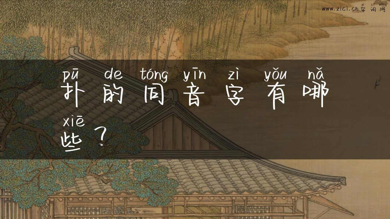 扑的同音字有哪些？