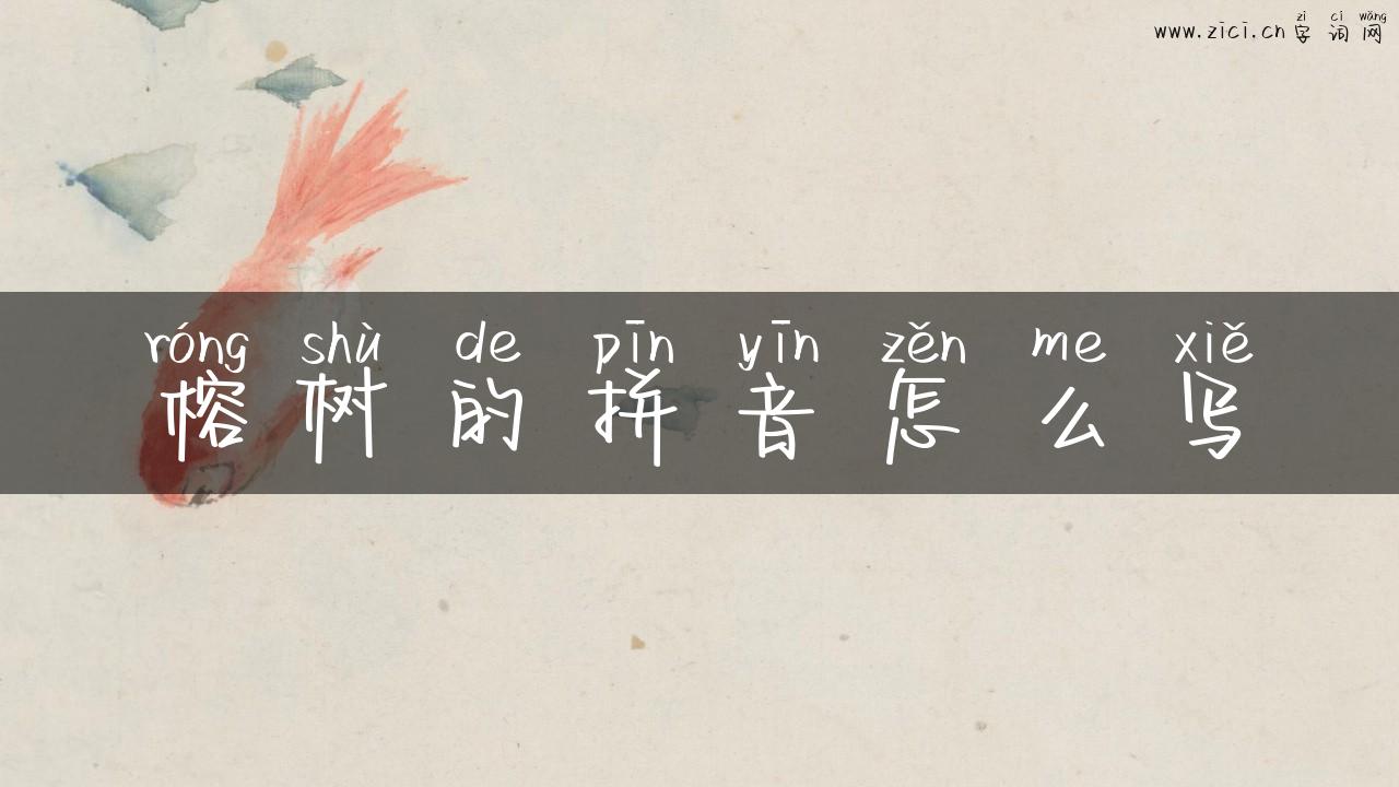 榕树的拼音怎么写