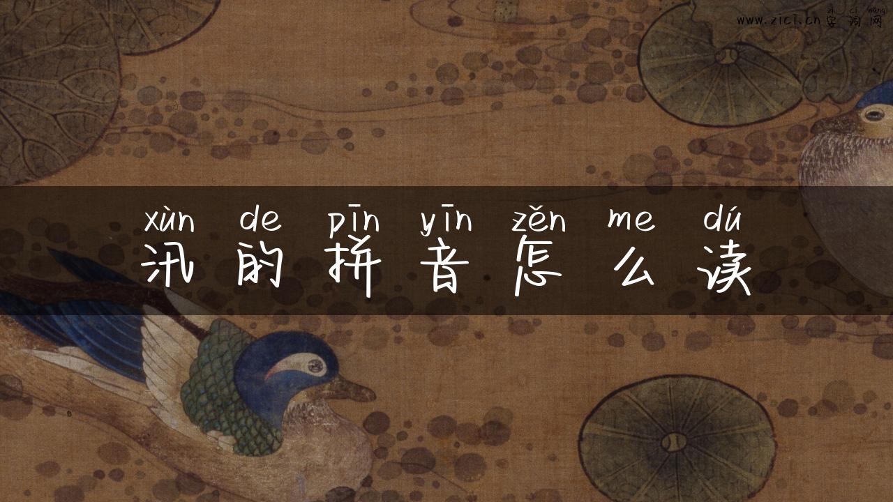汛的拼音怎么读