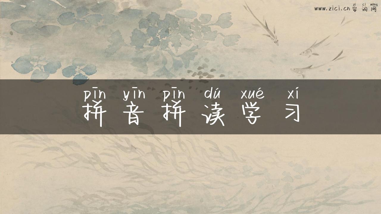 拼音拼读学习