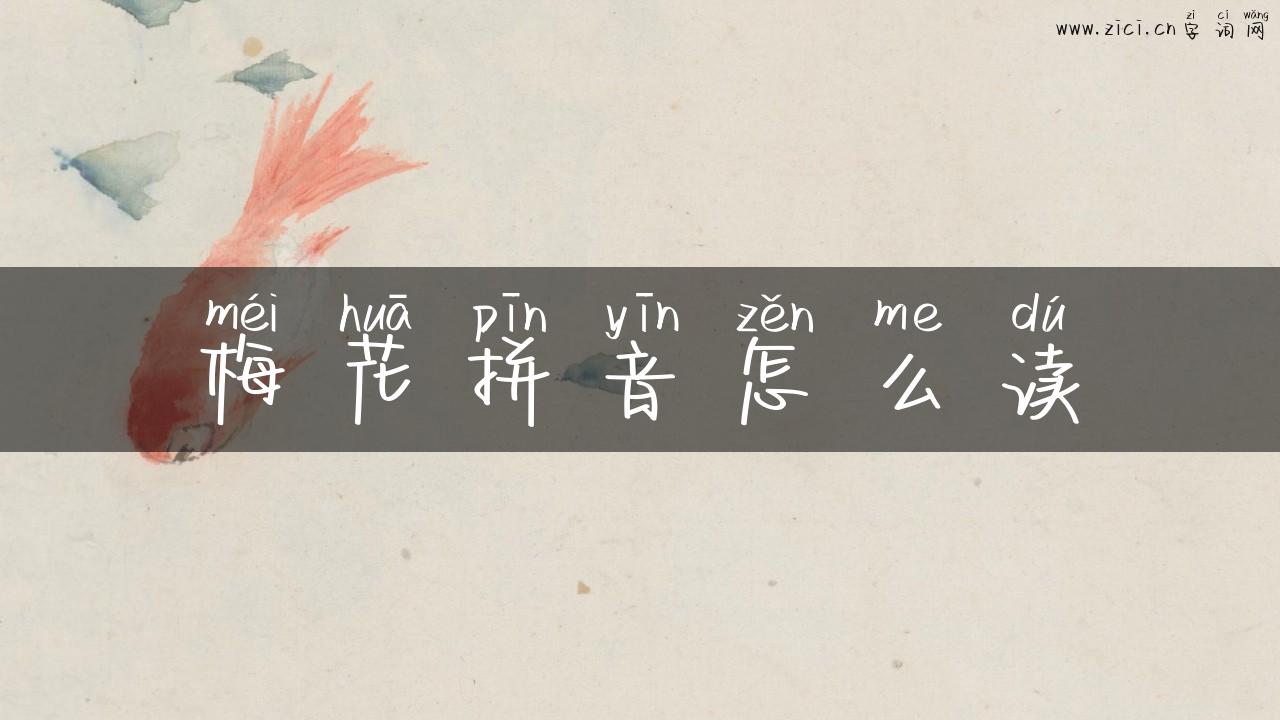 梅花拼音怎么读