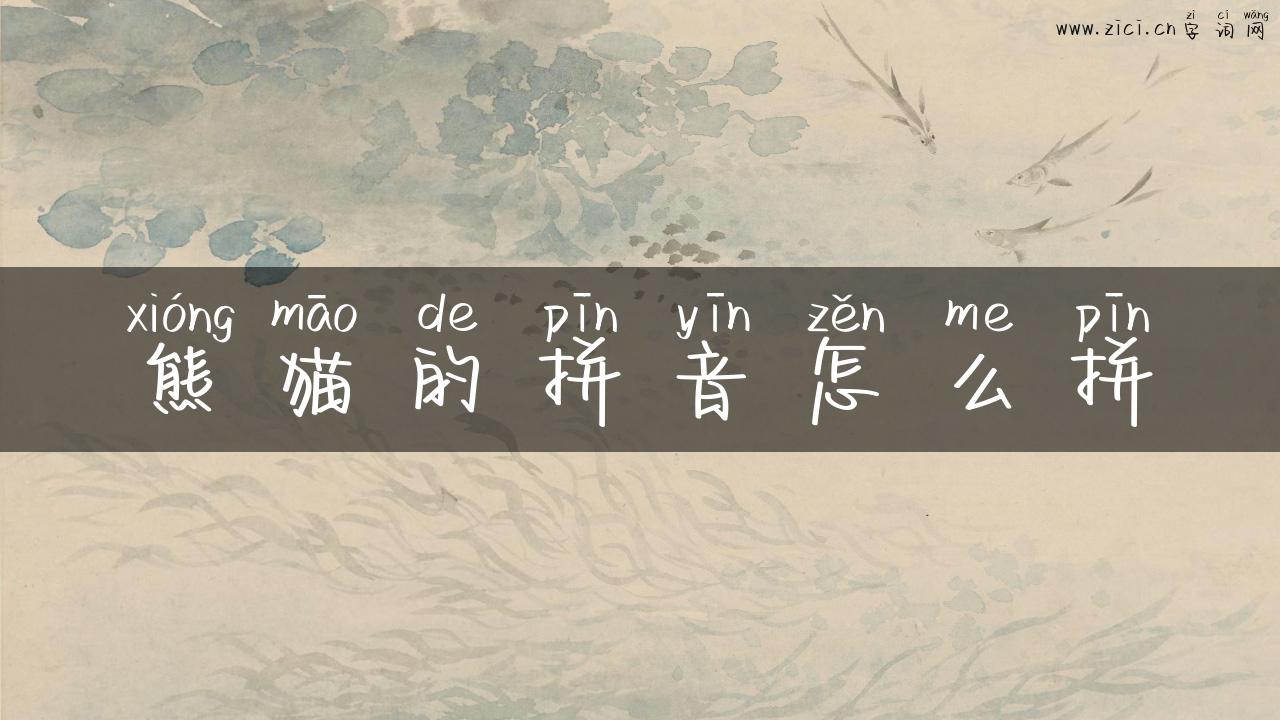 熊猫的拼音怎么拼