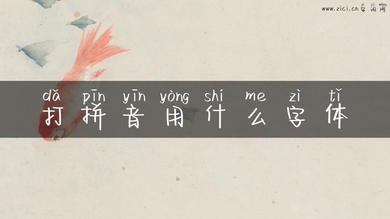 打拼音用什么字体