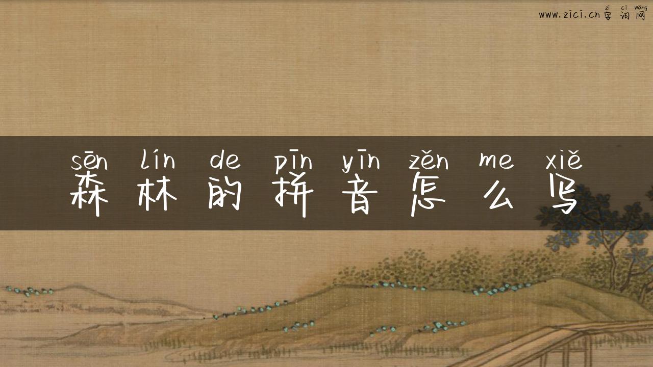 森林的拼音怎么写