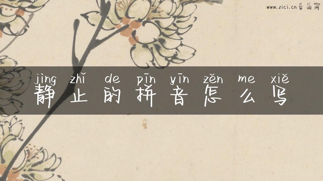 静止的拼音怎么写