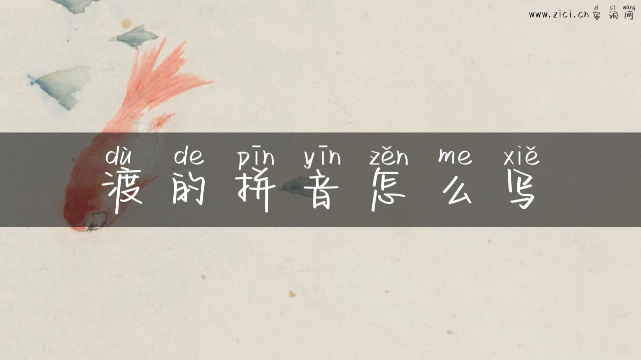 渡的拼音怎么写