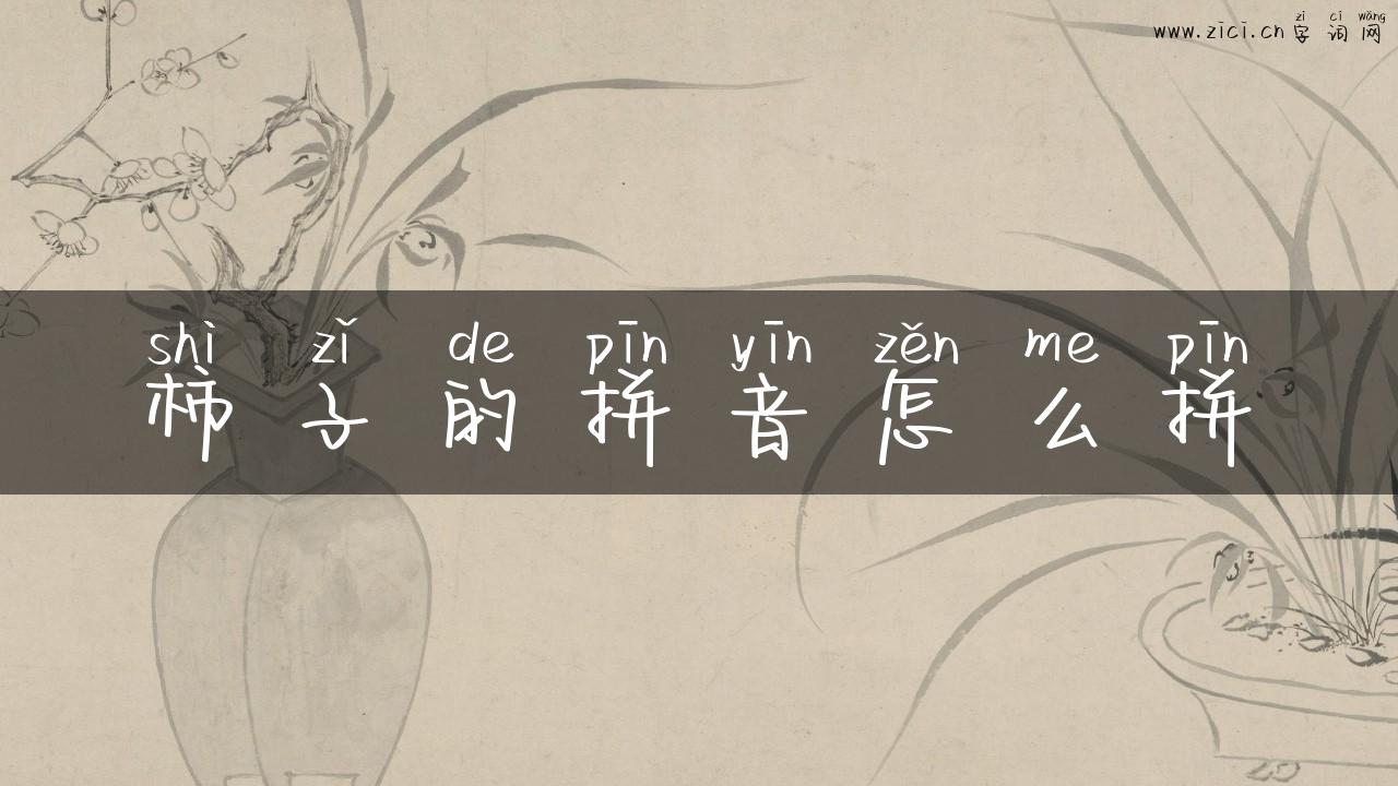 柿子的拼音怎么拼