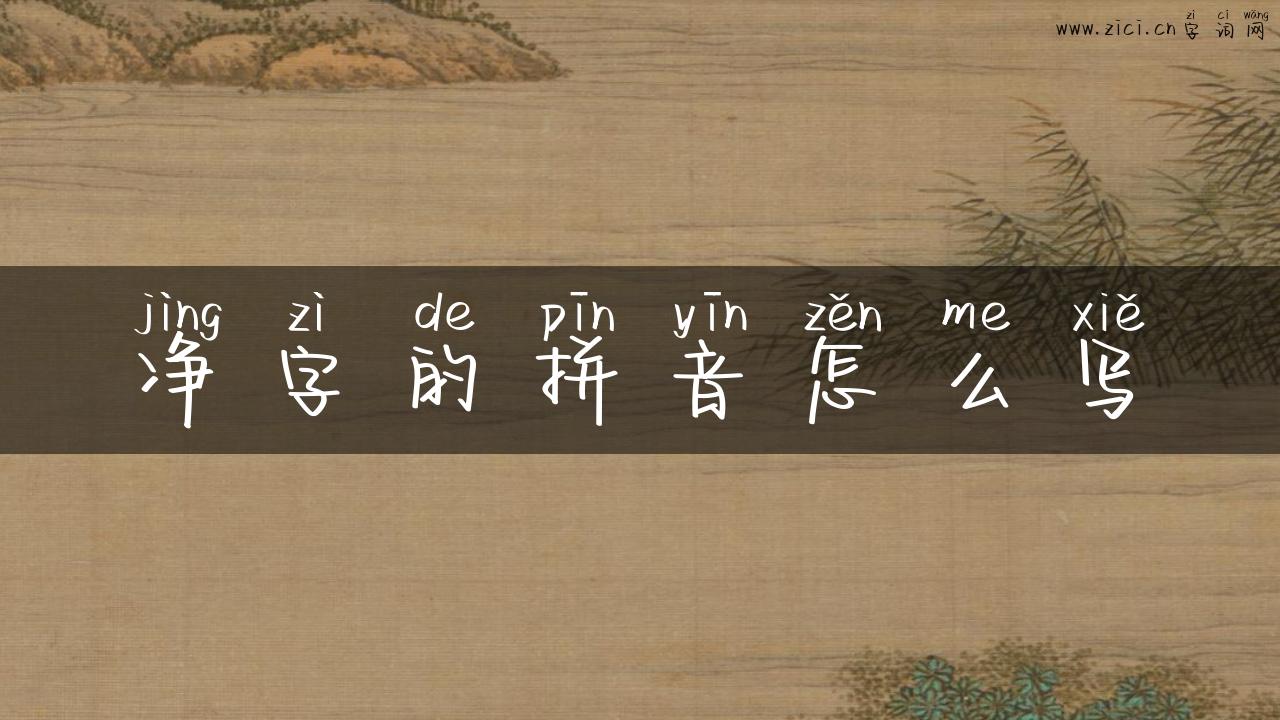 净字的拼音怎么写