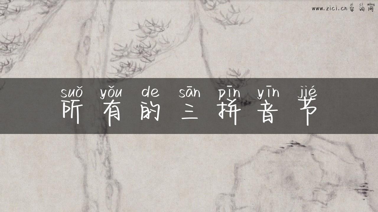 所有的三拼音节