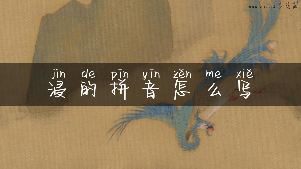 浸的拼音怎么写