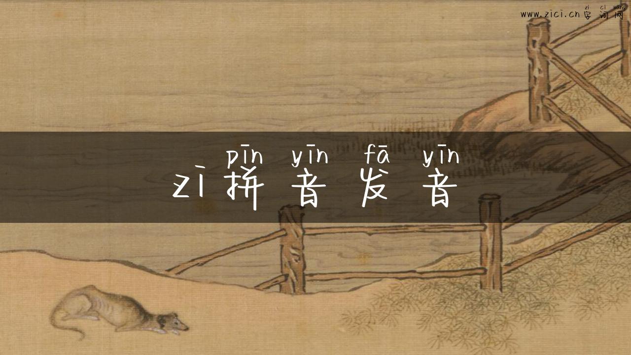 zi拼音发音