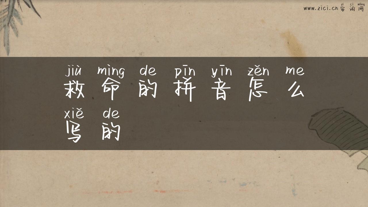 救命的拼音怎么写的
