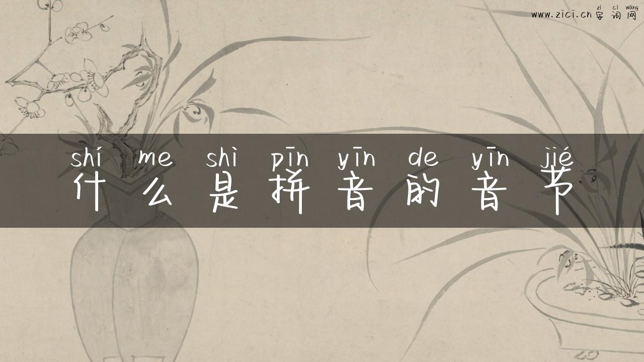 什么是拼音的音节