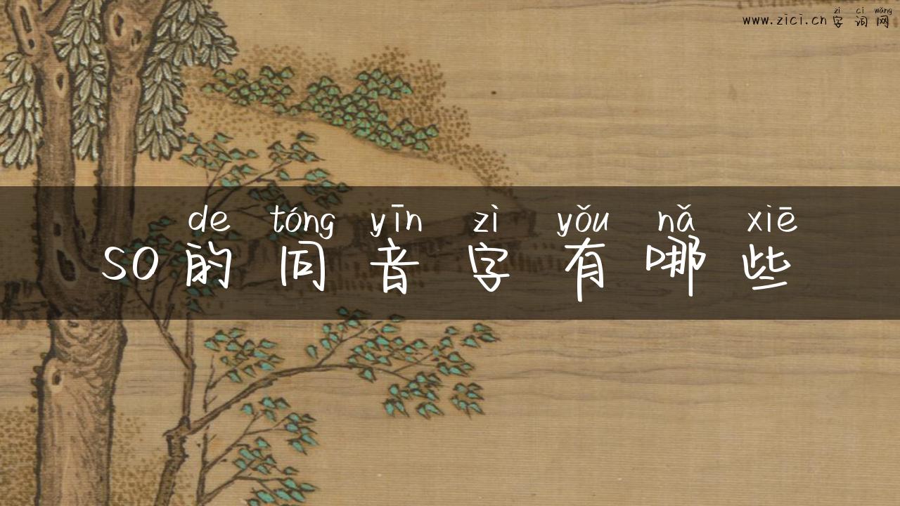 so的同音字有哪些