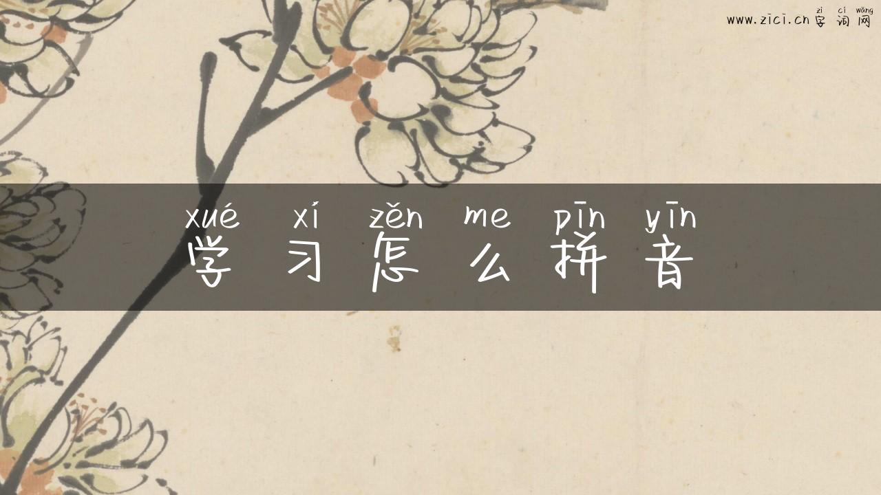 学习怎么拼音