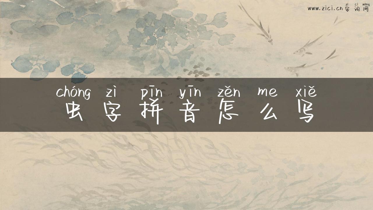 虫字拼音怎么写